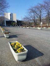 大学160ｐ.jpg